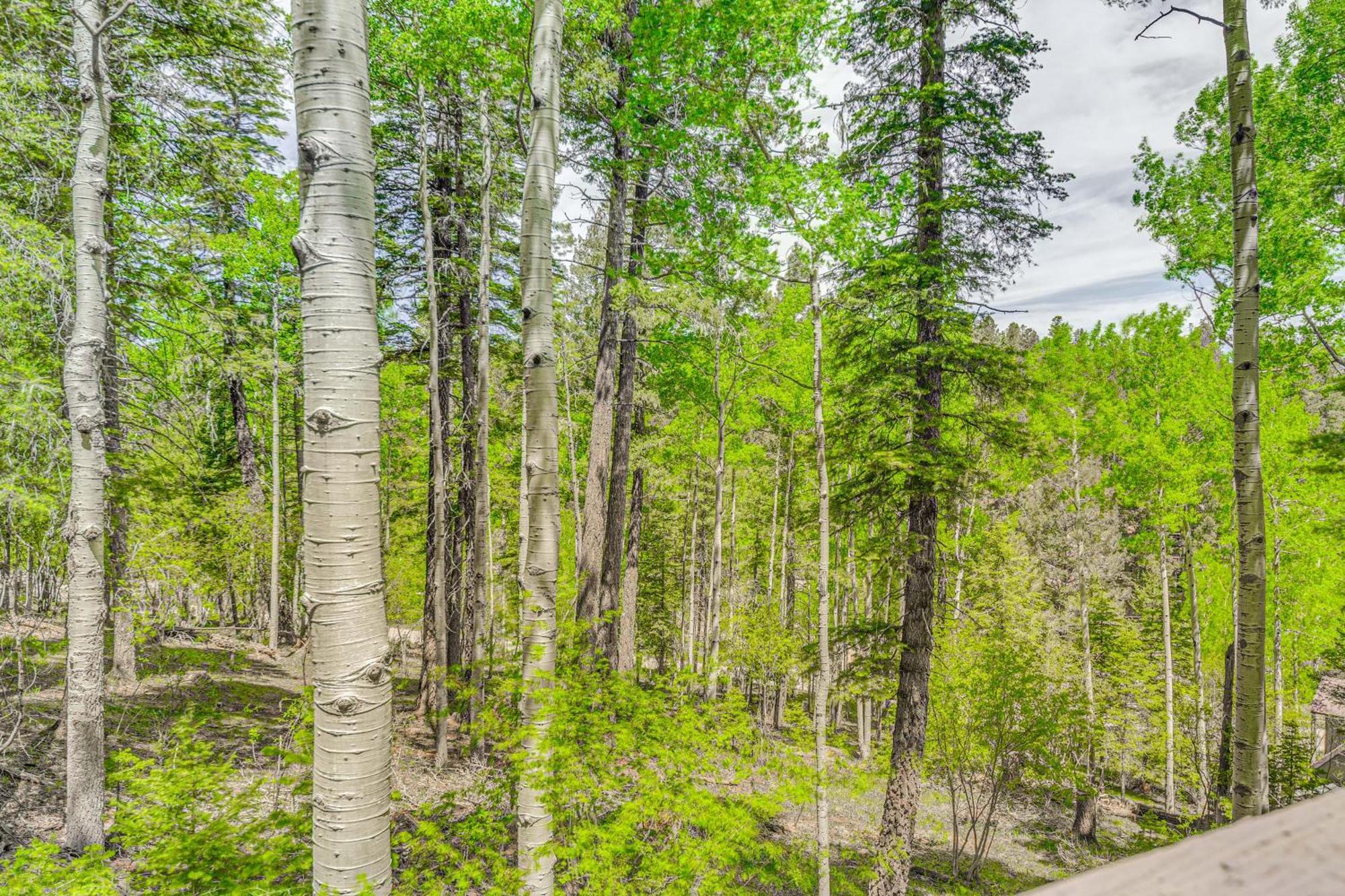 Quaint Cloudcroft Cabin With Stunning Forest Views! מראה חיצוני תמונה